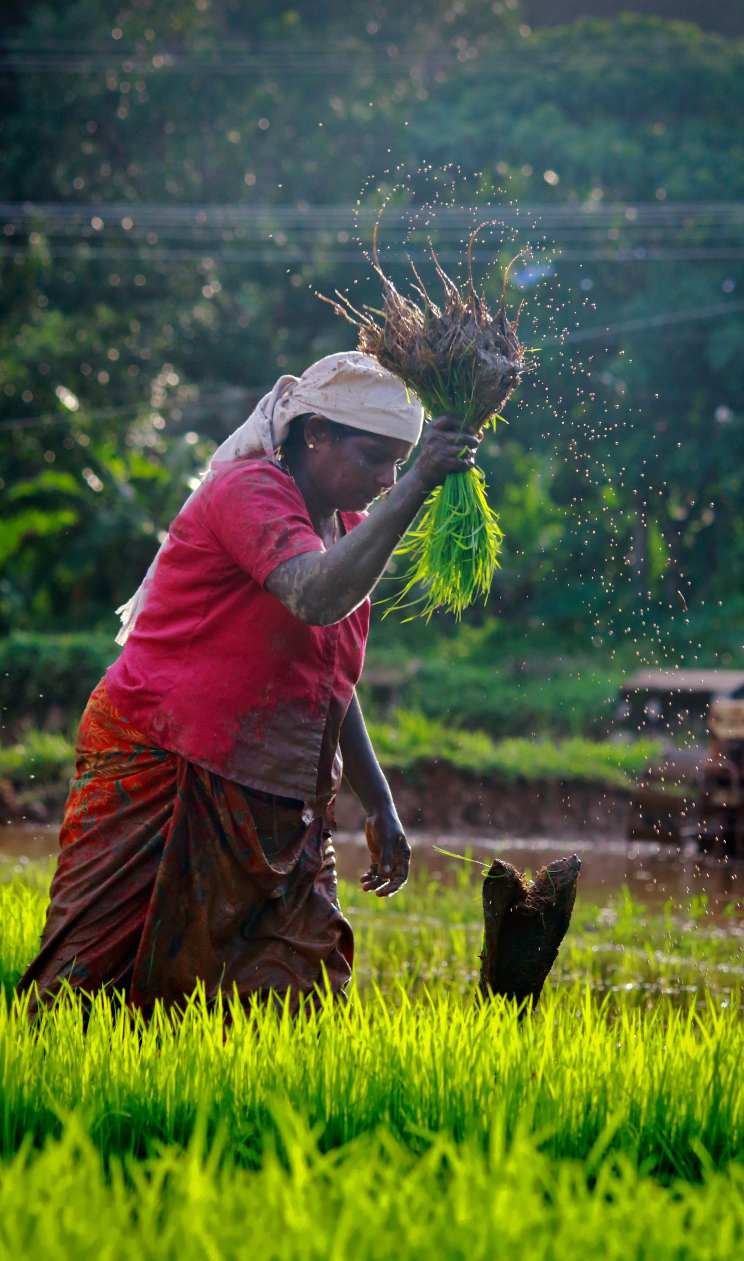 Organic Farming