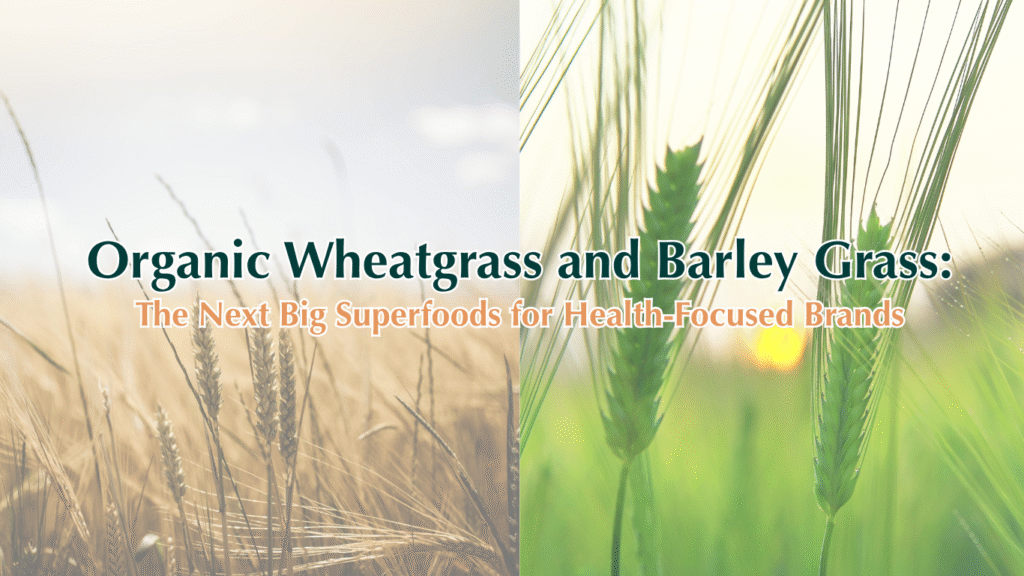 organic wheatgrass and barley grass