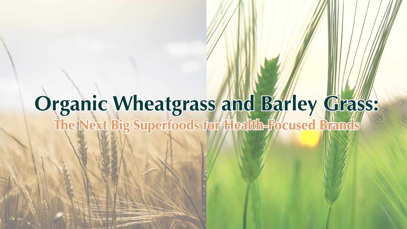 organic wheatgrass and barley grass