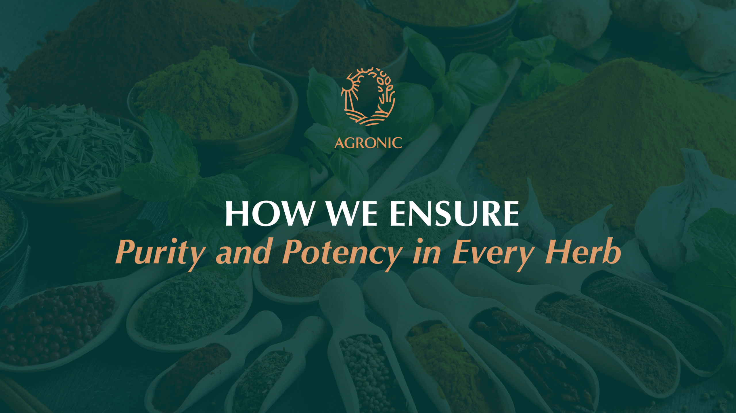 Organic herbs and spices from Agronic Food — ensuring purity, potency, and quality through sustainable agriculture and certified organic farming practices.