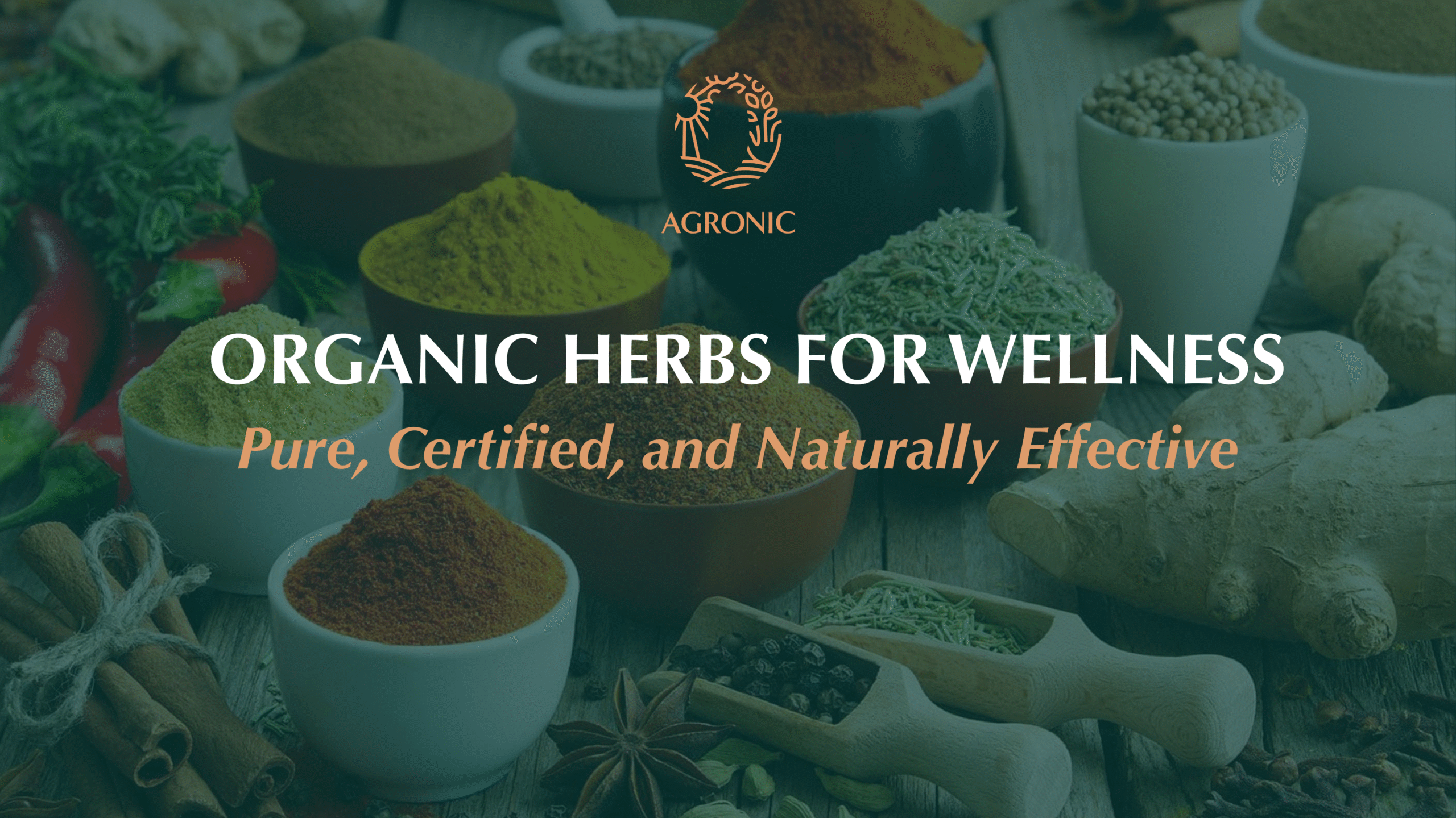 Organic Herbs for Wellness by Agronic Food – Pure, Certified, and Naturally Effective Herbal Products