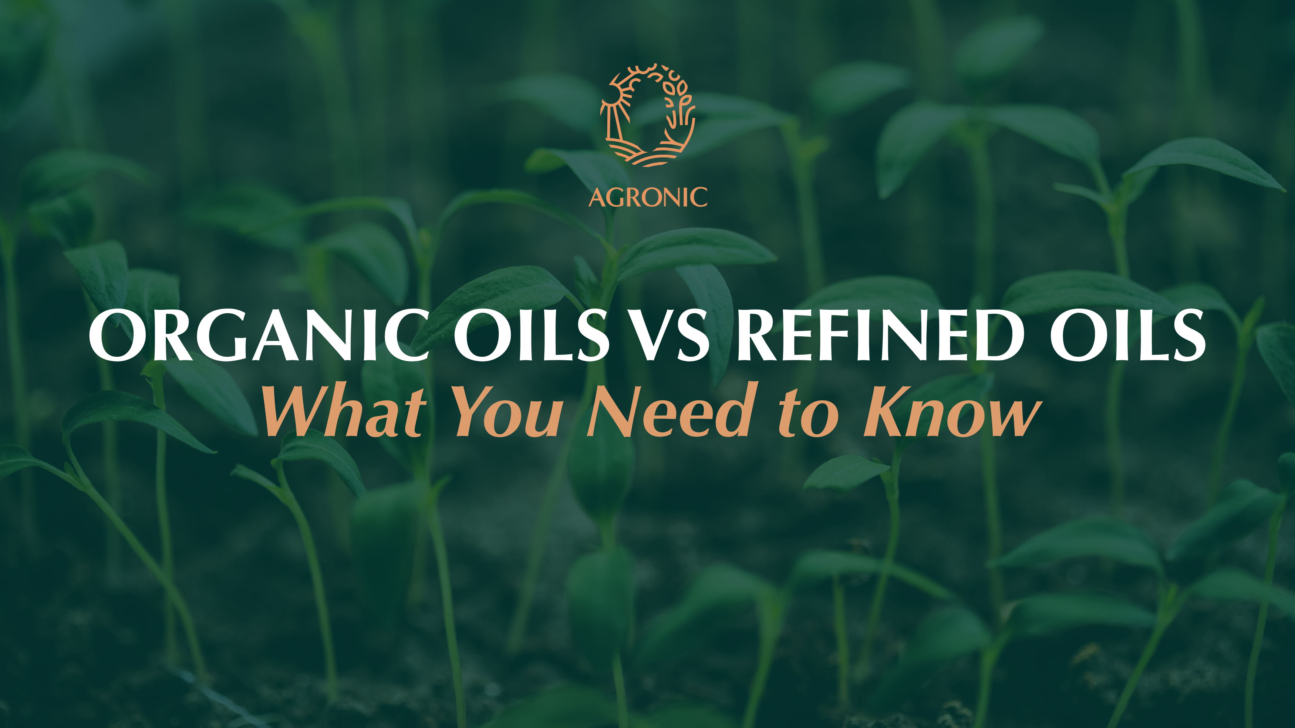 organic oil vs refined oil-Agronicfood blog showing healthy oil