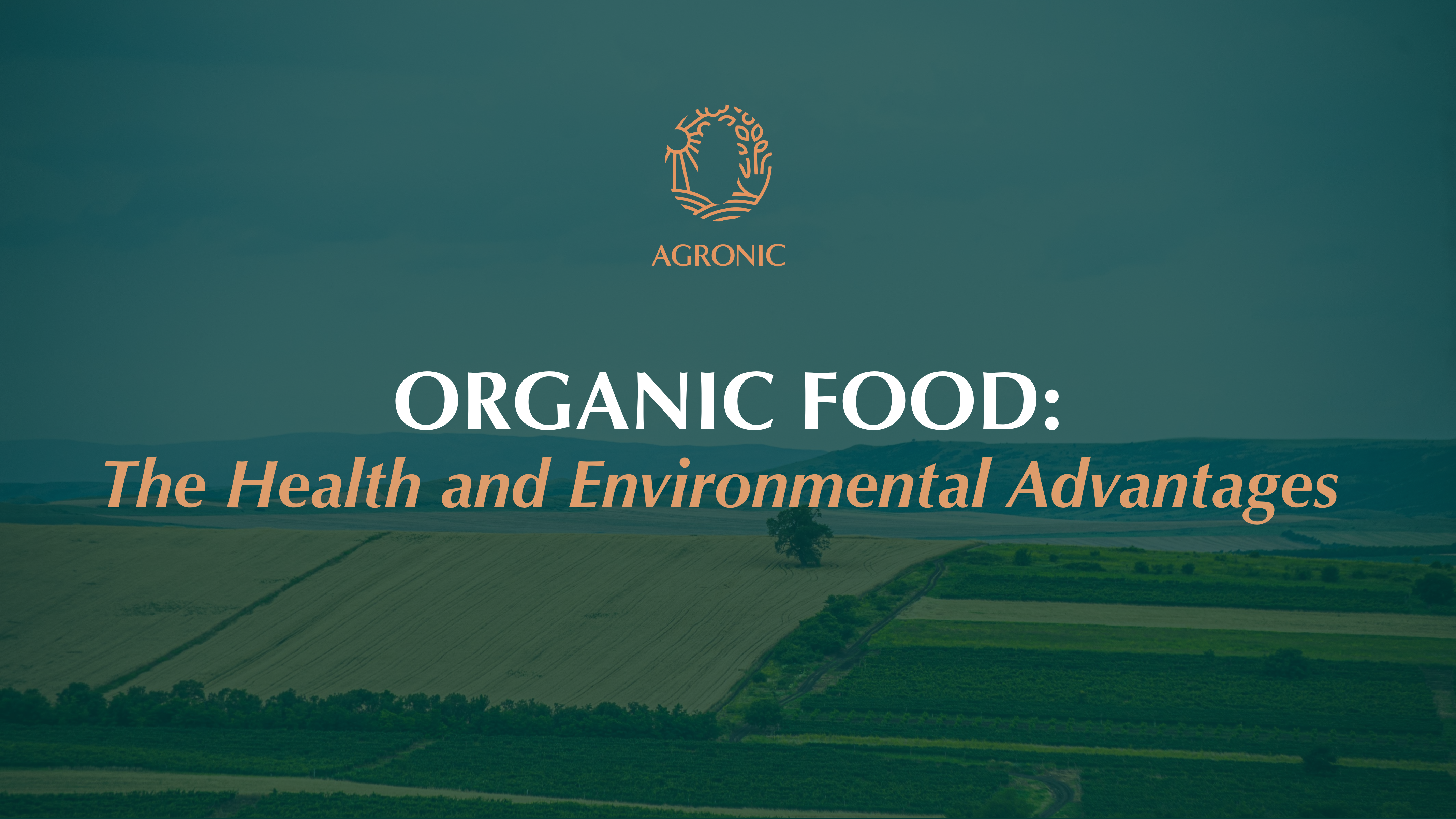 “Organic food banner showing farmland with title ‘Organic Food: The Health and Environmental Advantages’ by Agronic Food.”