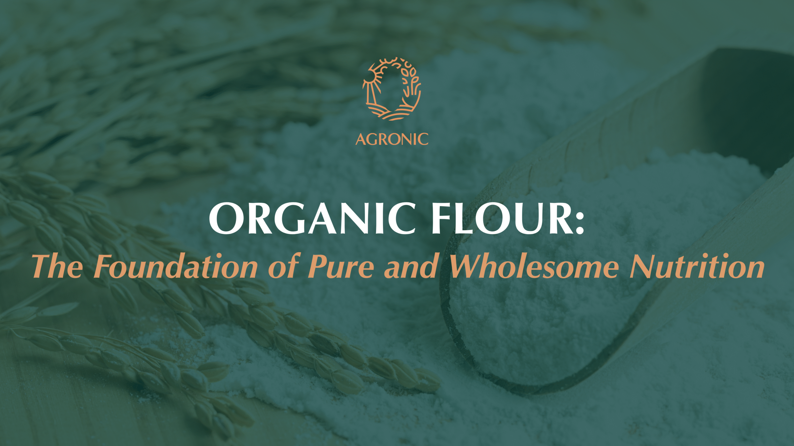 Organic flour concept banner by Agronic Food showing flour and wheat grains with the tagline ‘The Foundation of Pure and Wholesome Nutrition.