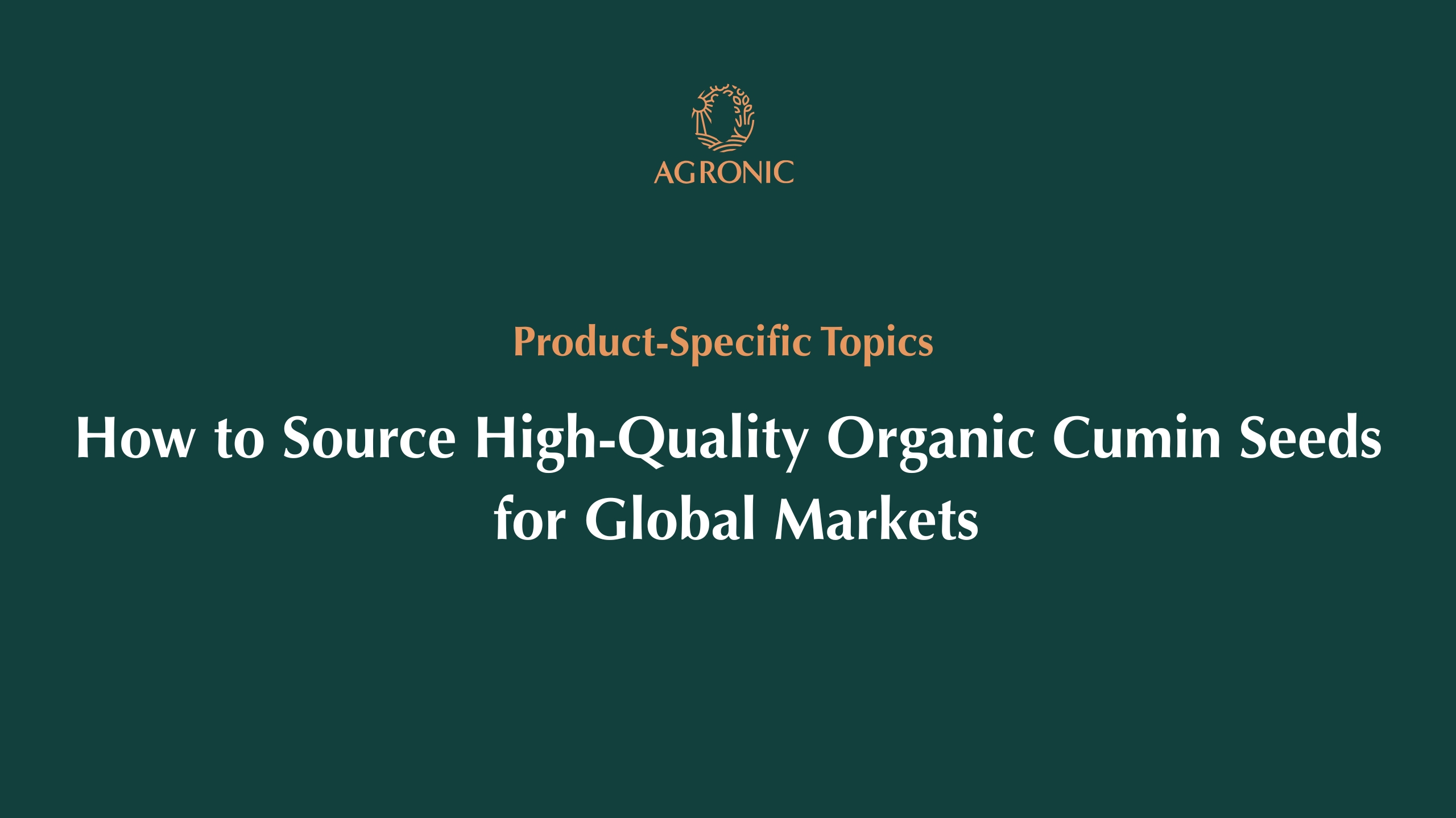 How to Source High-Quality Organic Cumin Seeds for Global Markets