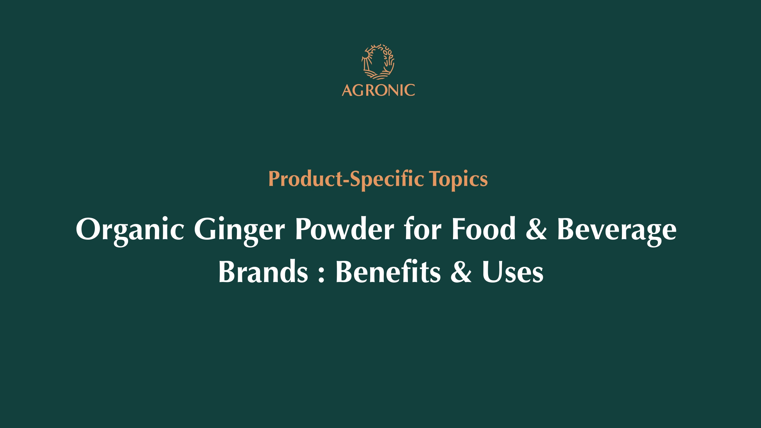Organic Ginger Powder for Food & Beverage Brands Benefits & Uses