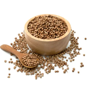 Coriander