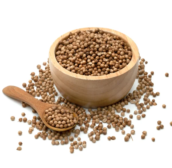 Coriander